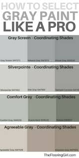 What Are The Most Popular Shades Of Gray Paint The