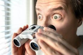 Nosy Neighbors & Probate - Skvarna Law Firm