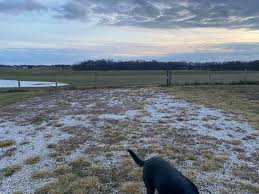 House Plans And Cost Of Build