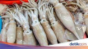 Check out amazing masturbasi artwork on deviantart. Cumi Cumi Jadi Alat Masturbasi Hingga Salatiga Calon Kota Gastro History