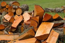 We did not find results for: 12 Best Smelling Firewoods Campfires Or Fireplaces Rvblogger
