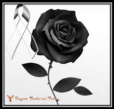 Moño negro de luto con frases. Monos De Luto Con Rosas Negras Para Expresar Duelo Y Afliccion