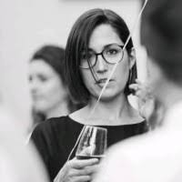 60+ perfiles de «Rex»