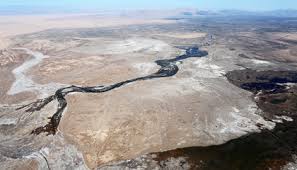 عجوز باكستانية تجاوزت المئة عام تتغلب على متحور دلتا. The Colorado River Delta Turned Green After A Historic Water Pulse Science Smithsonian Magazine