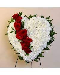 Check spelling or type a new query. Bleeding Heart In Dallas Tx Mcshan Florist