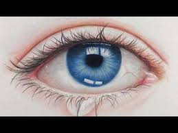 Pin On Colored Pencil Techniques And Tips 2
