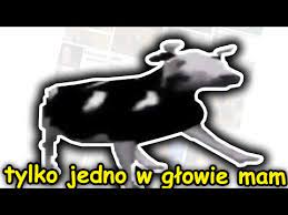 Tylko Jedno W Glowie Mam Tylko Jedno W Glowie Mam Polish Cow Know Your Meme Tylko jedno w glowie mam koksu 5 gram odleciec sam w kraine zapomnienia. tylko jedno w glowie mam polish cow