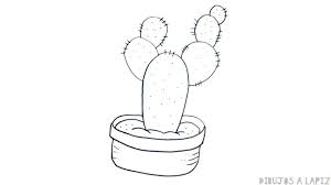 Pobre dibuja dos brazos a cada lado del tronco. Dibujos De Cactus 30 Faciles Y Gratis