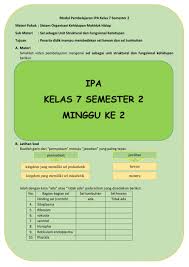 Kumpulan soal soal pat/ ukk/ uas smp/ mts kelas 7 semester 2/ genap soal soal latihan penilaian akhir tahun/ ujian kenaikan kelas/ ujian akhir semester sekolah menengah pertama/ madrasah tsanawiyah kelas vii kurikulum 2013 dan 2006 ( ktsp ) silahkan di download/ unduh berkasnya, dengan mengklik tautannya. Ejercicio De Ipa Kelas 7 2 Minggu Ke 2