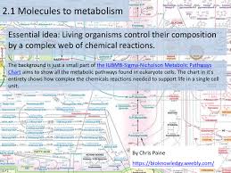 Iubmb Sigma Nicholson Metabolic Pathways Chart