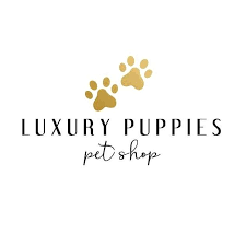 Amity harbor puppies and pet supplies. Luxury Puppies Home Facebook