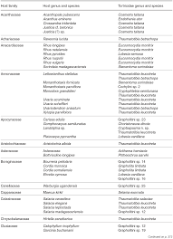 Image result for Gomphocarpus semilunatus