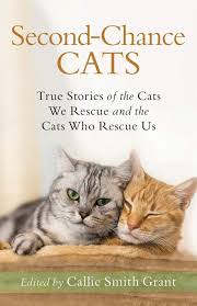 Muddy paws is a no kill midwest rescue specializing in rehoming dogs, cats, and pocket pets, but. Second Chance Cats True Stories Of The Cats We Rescue And The Cats Who Rescue Us Grant Callie Smith 9780800735722 Amazon Com Books
