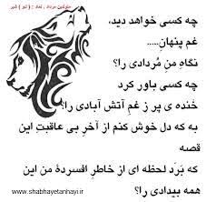 نتیجه تصویری