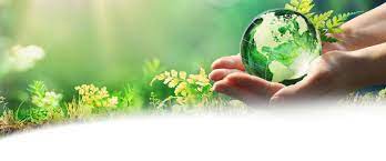 To what extent do you agree with the above statement? Environmental Protection Hako