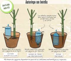 Pin By Noelia Veronica On Plantarting Vegetable Garden Diy Self Watering Plants Fall Garden Vegetables