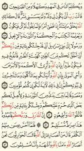 الورد اليومي من سورة آل عمران ص 56 quran verses holy quran book quran book