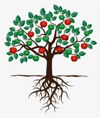 Tree With Roots Png Images Free Transparent Tree With Roots Download Kindpng We only accept high quality images, minimum 400x400 pixels. tree with roots png images free