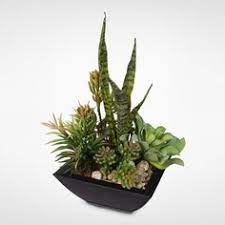 These spiky canvas prints are perfect for any chic, modern, boho or minimalist decor. Artificial Plants