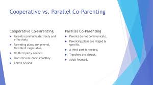 Are two lines parallel, perpendicular, or neither? Co Parenting Session 3 Shared Parenting Ppt Video Online Download