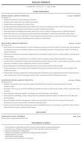 Tastefully done, unique set of light borders spread out into a beautiful landscape orientation. School Principal Resume Sample Mintresume