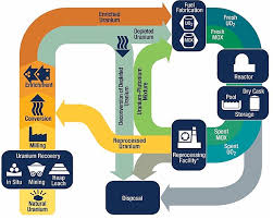 How can uranium affect people's health? Nuclear Fuel Cycle Wikiwand