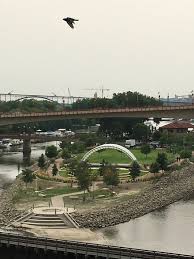 Image result for Raspberry 1994 Shadow