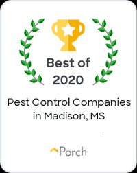 It usually happens that you might have unwanted visitors in your home, office, and other places that get affected by those little creepy crawlers. What Is An Exterminator Best Exterminator Near Me Synergy