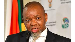 SA says fuel prices should be 30pc lower