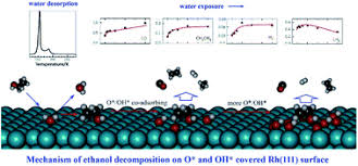 Born 3 july 1976), nicknamed the axe murderer and cachorro louco (portuguese for mad dog. Dependence On Co Adsorbed Water In The Reforming Reaction Of Ethanol On A Rh 111 Surface Rsc Advances Rsc Publishing