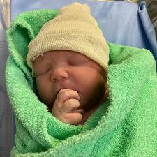 Silverback Transport(@silverbacktransport) • Instagram 사진 및 동영상