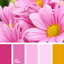 The full list of pink & black ribbon meanings includes: Color Palette 3393 Color Palette Ideas
