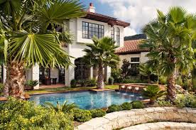 12 trees that will ruin your yard. Add Tropical Charm To Your Backyard By Opting For Palm Trees