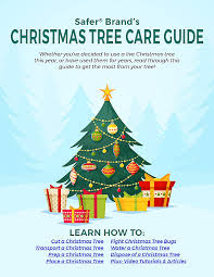 Visit us in person or online for a wide selection of products! Common Christmas Tree Bugs And How To Get Rid Of Them