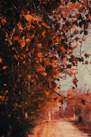 Therapists in Lincoln, MA