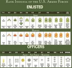 Understanding Us Military Ranks In 2020 Army Basic Training Army Ranks Military Ranks