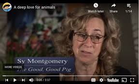 Virtual Disney Library Community