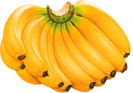 Image result for image of banana