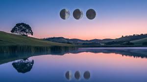 Elif nur yel xxx secret snap share