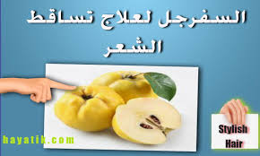 السفرجل لعلاج تساقط الشعر علاج لتساقط الشعر معالجة تساقط الشعر بالسفرجل Hair Stylish Food