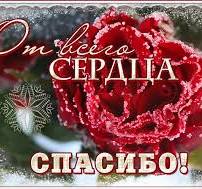    -    otkritkiok.ru