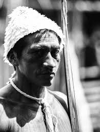 h iD reléTricA s, con FliTos socio A MB ien TA is e resisTênciA n A B A ciA  D o TA pA jós