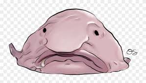 Parents may receive compensation when you click through and purchase from links contained on this website. Blobfish Png Blob Fish Drawing Clipart 1962811 Pikpng
