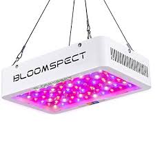 This light may be used in conjunction with led, hps, hid, or a mh setup. G8led 900 Watt Mega Review Pros Cons And Complete Revision