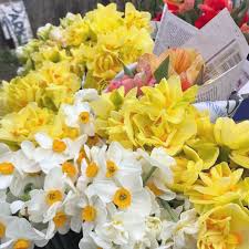 Our flowers are truly mountain fresh! Flower Farming In Western Nc Organic Growers School