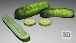 Cucumbers Cucumbers 3d Model Model
