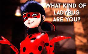 Quiz What Kind Of Miraculous Ladybug Are You Miraculous Quiz Ladybug Miraculous Ladybug Queen Bee