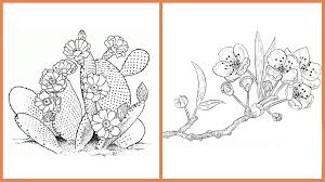 Maybe you would like to learn more about one of these? Seeds Of Fun Cherry Blossoms And Cactus Flower Coloring Pages South Coast Botanic Garden Foundation
