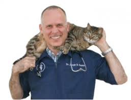 14302 ventura blvd, sherman oaks, ca 90011 Our Team The Pet Doctors Of Sherman Oaks