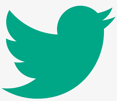 How to put twitter facebook accounts on a business. Facebook Twitter Pinterest Google Small Twitter Logo For Business Card Transparent Png 1139x926 Free Download On Nicepng